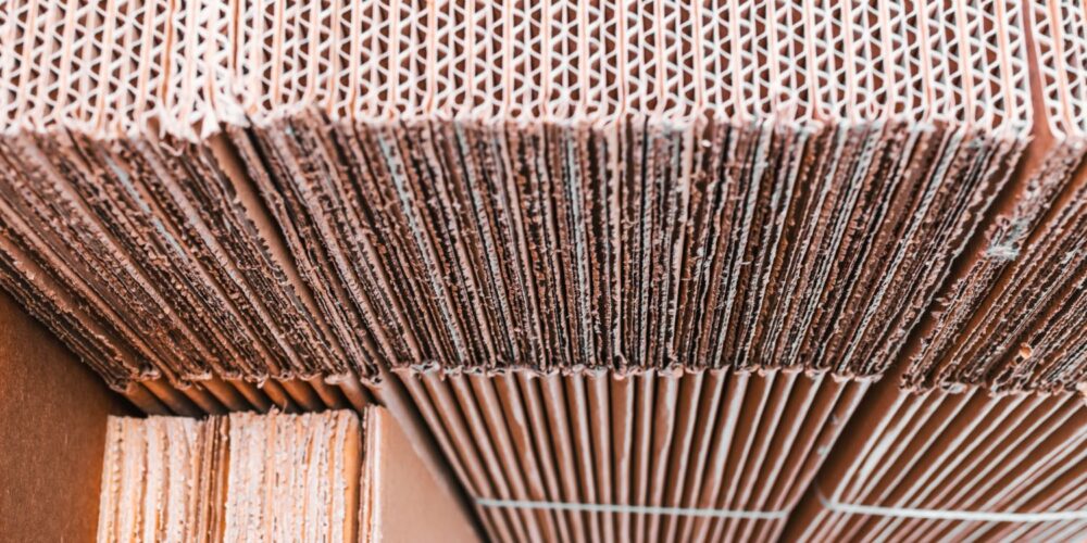 Cardboard